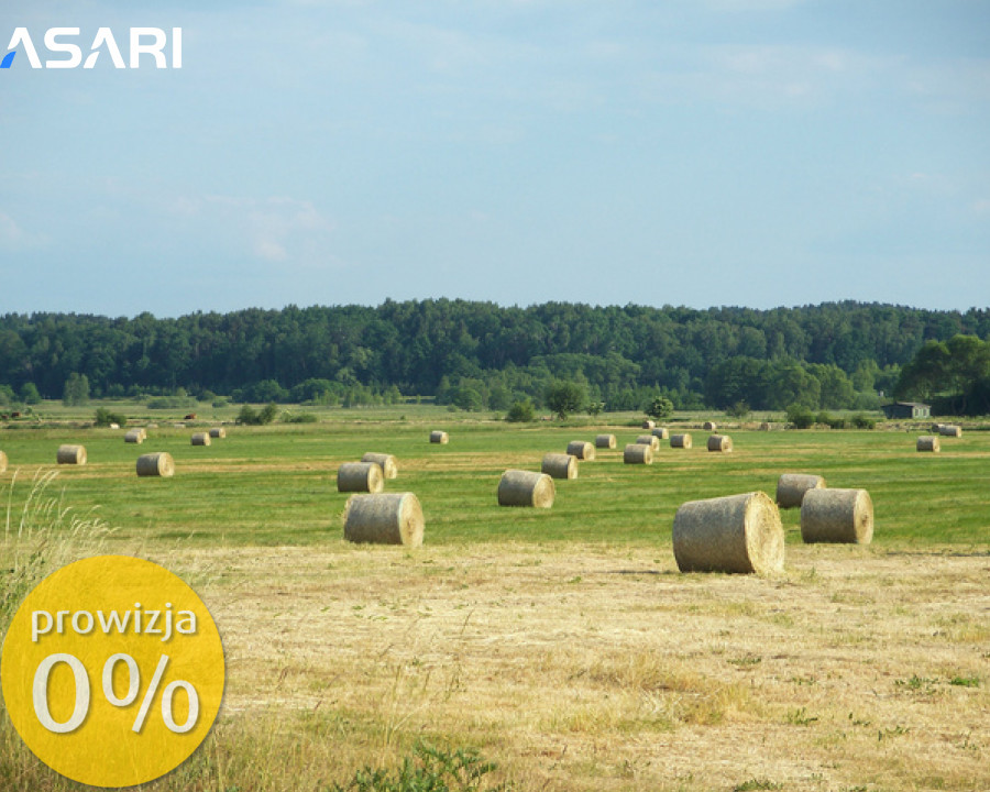 Działka Wynajem Piaseczno Armii Krajowej