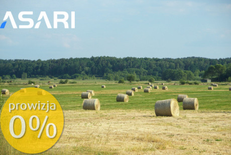 Działka Wynajem Piaseczno Armii Krajowej