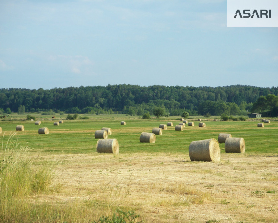 Działka Wynajem Nowy Dwór Mazowiecki Górska